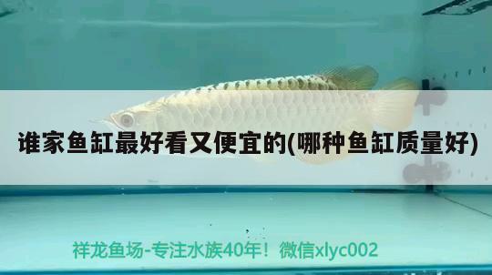 誰家魚缸最好看又便宜的(哪種魚缸質(zhì)量好)