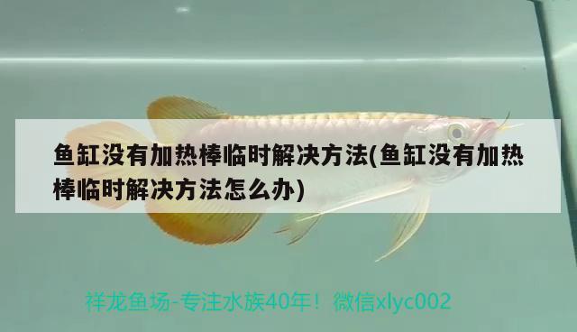 魚缸沒有加熱棒臨時解決方法(魚缸沒有加熱棒臨時解決方法怎么辦)