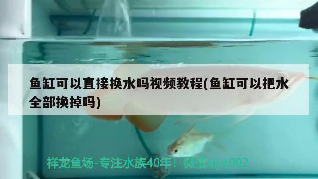 魚缸可以直接換水嗎視頻教程(魚缸可以把水全部換掉嗎) 白子黃化銀龍魚