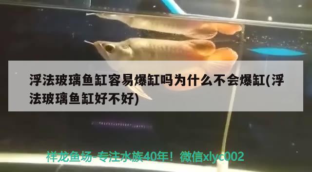 浮法玻璃魚(yú)缸容易爆缸嗎為什么不會(huì)爆缸(浮法玻璃魚(yú)缸好不好) 祥龍水族護(hù)理水