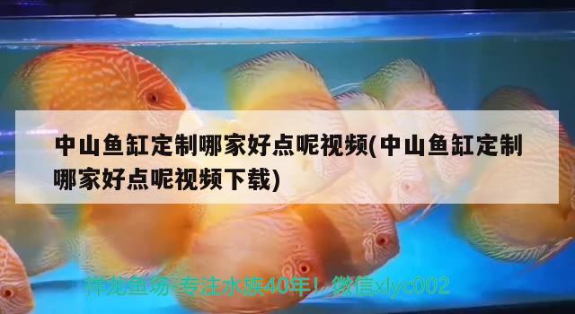 中山魚缸定制哪家好點呢視頻(中山魚缸定制哪家好點呢視頻下載)