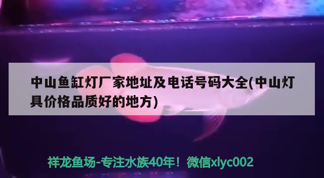 中山魚(yú)缸燈廠家地址及電話號(hào)碼大全(中山燈具價(jià)格品質(zhì)好的地方) 魚(yú)缸清潔用具