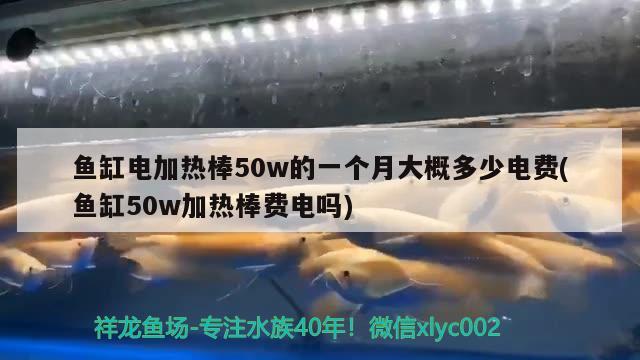 魚缸電加熱棒50w的一個月大概多少電費(魚缸50w加熱棒費電嗎) 印尼三紋虎