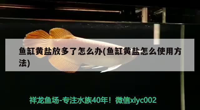 魚缸黃鹽放多了怎么辦(魚缸黃鹽怎么使用方法) 鴨嘴鯊魚