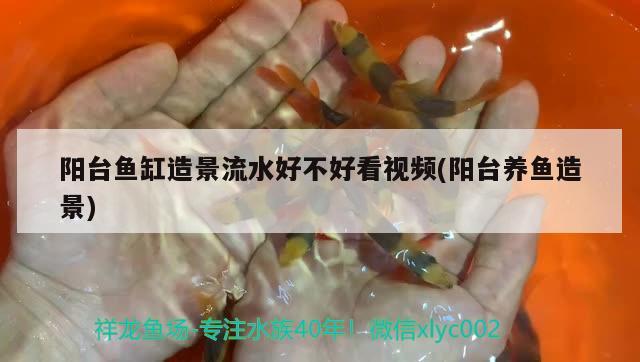 陽臺(tái)魚缸造景流水好不好看視頻(陽臺(tái)養(yǎng)魚造景)