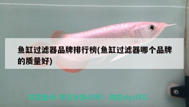 魚缸過濾器品牌排行榜(魚缸過濾器哪個品牌的質(zhì)量好) 魚缸清潔用具