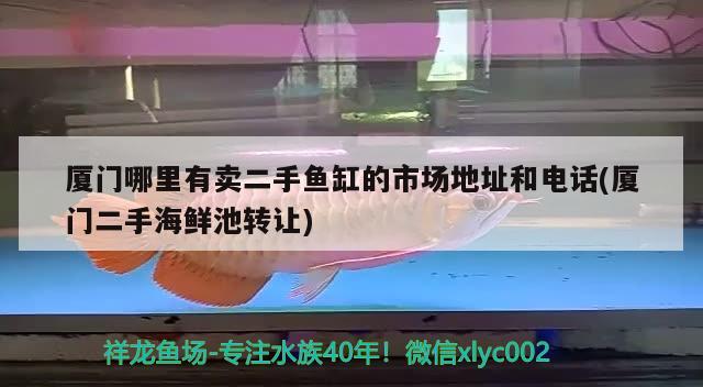 廈門哪里有賣二手魚缸的市場地址和電話(廈門二手海鮮池轉(zhuǎn)讓)