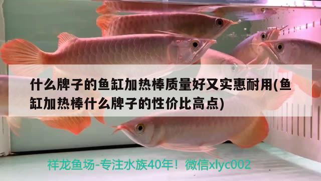 什么牌子的魚缸加熱棒質量好又實惠耐用(魚缸加熱棒什么牌子的性價比高點)