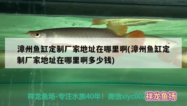 漳州魚缸定制廠家地址在哪里啊(漳州魚缸定制廠家地址在哪里啊多少錢)