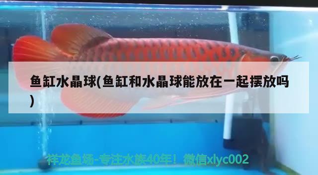 魚缸水晶球(魚缸和水晶球能放在一起擺放嗎)