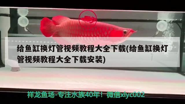 給魚缸換燈管視頻教程大全下載(給魚缸換燈管視頻教程大全下載安裝)