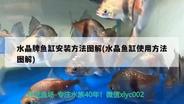 水晶牌魚缸安裝方法圖解(水晶魚缸使用方法圖解) 祥龍赫舞紅龍魚 第2張