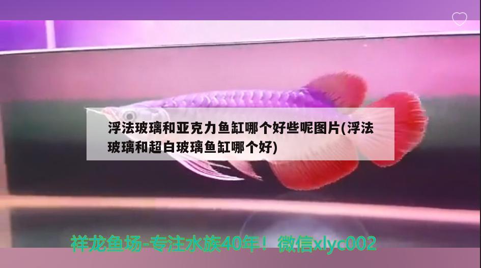 浮法玻璃和亞克力魚缸哪個好些呢圖片(浮法玻璃和超白玻璃魚缸哪個好)