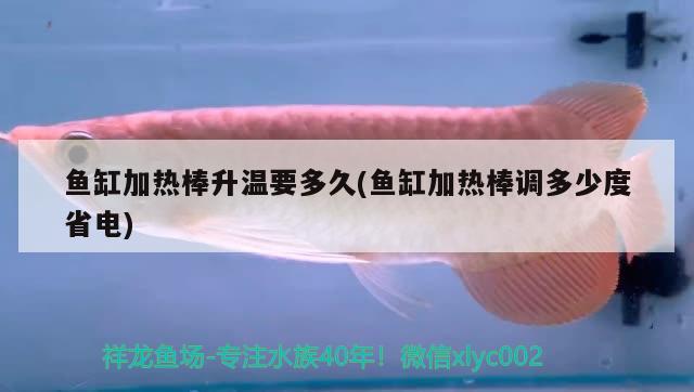 魚缸加熱棒升溫要多久(魚缸加熱棒調(diào)多少度省電) BD魟魚