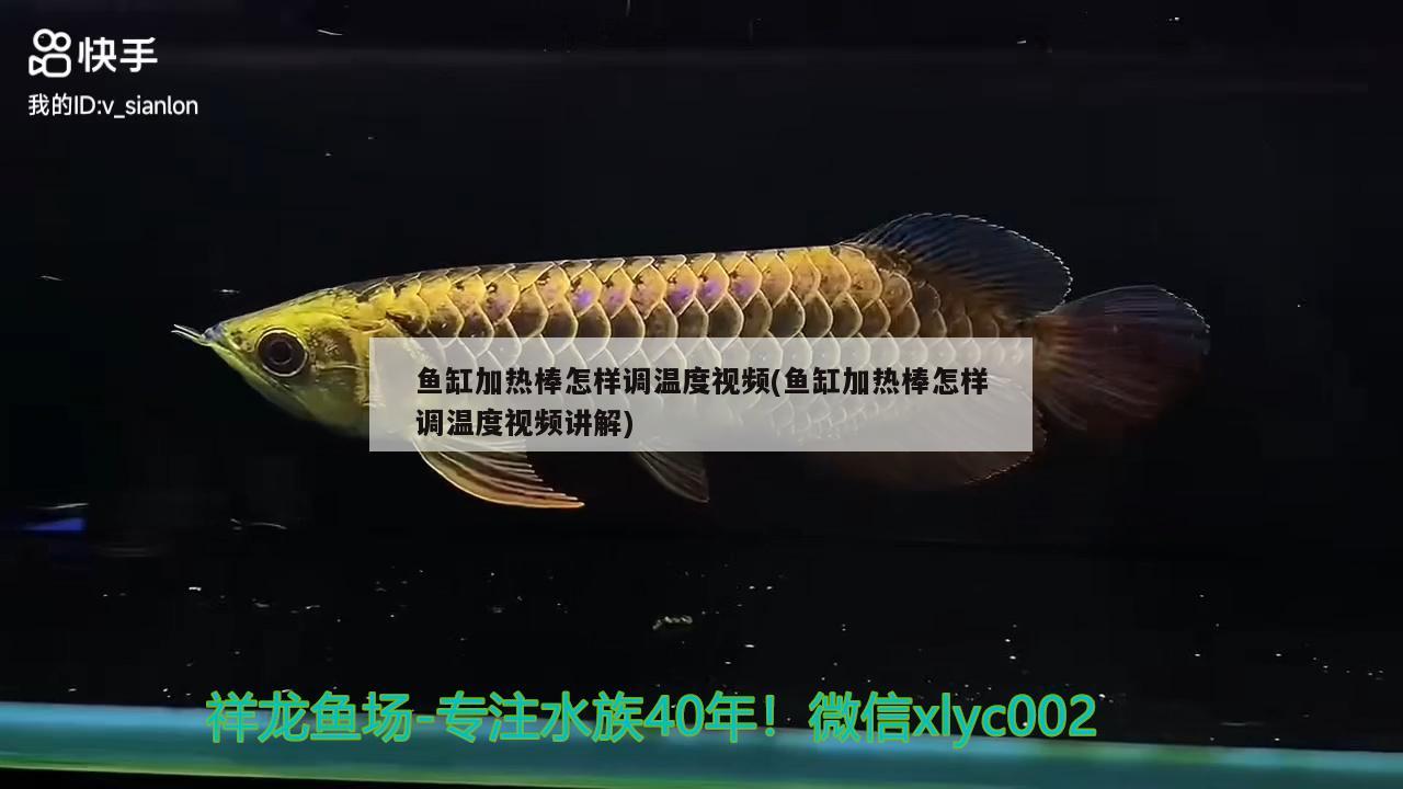 魚缸加熱棒怎樣調(diào)溫度視頻(魚缸加熱棒怎樣調(diào)溫度視頻講解) 魚缸百科 第2張