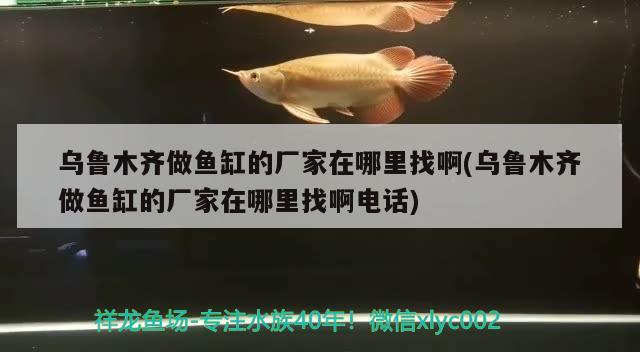 烏魯木齊做魚(yú)缸的廠家在哪里找啊(烏魯木齊做魚(yú)缸的廠家在哪里找啊電話)