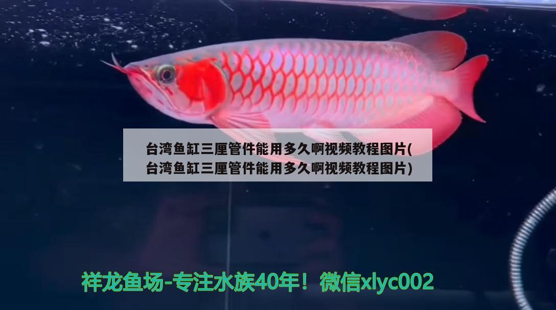 臺灣魚缸三厘管件能用多久啊視頻教程圖片(臺灣魚缸三厘管件能用多久啊視頻教程圖片)