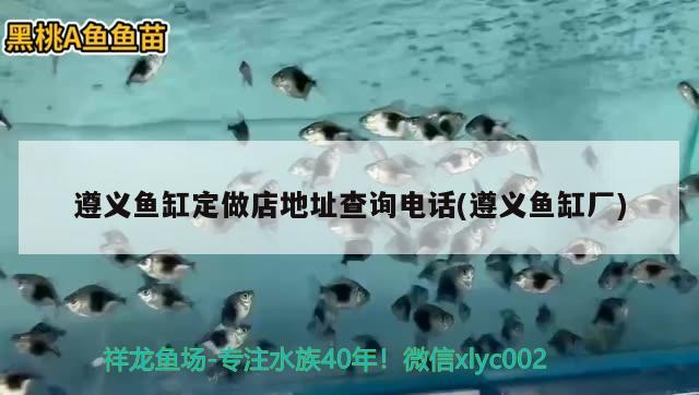 遵義魚缸定做店地址查詢電話(遵義魚缸廠) 魚缸等水族設備