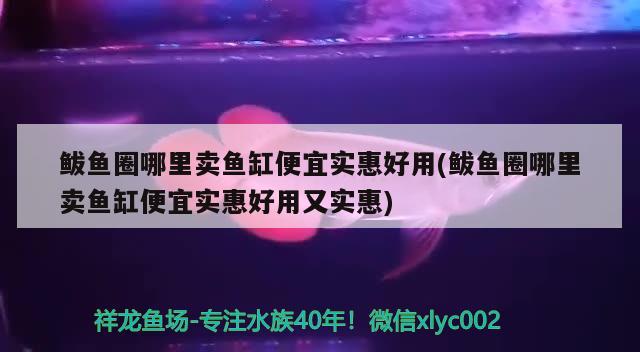 鲅魚(yú)圈哪里賣魚(yú)缸便宜實(shí)惠好用(鲅魚(yú)圈哪里賣魚(yú)缸便宜實(shí)惠好用又實(shí)惠)