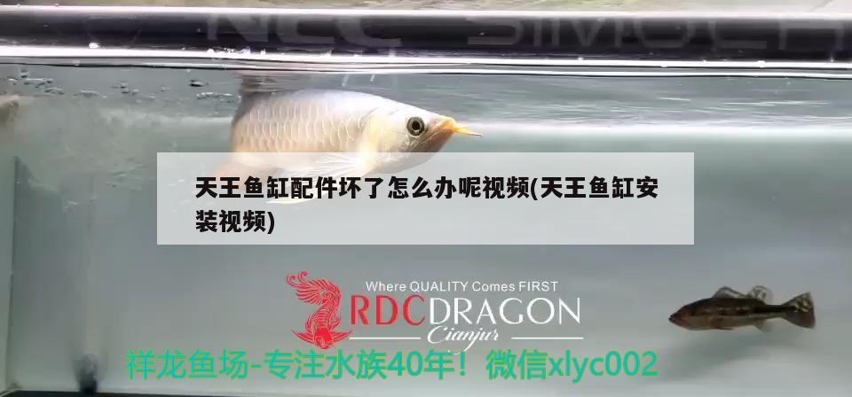 天王魚缸配件壞了怎么辦呢視頻(天王魚缸安裝視頻)