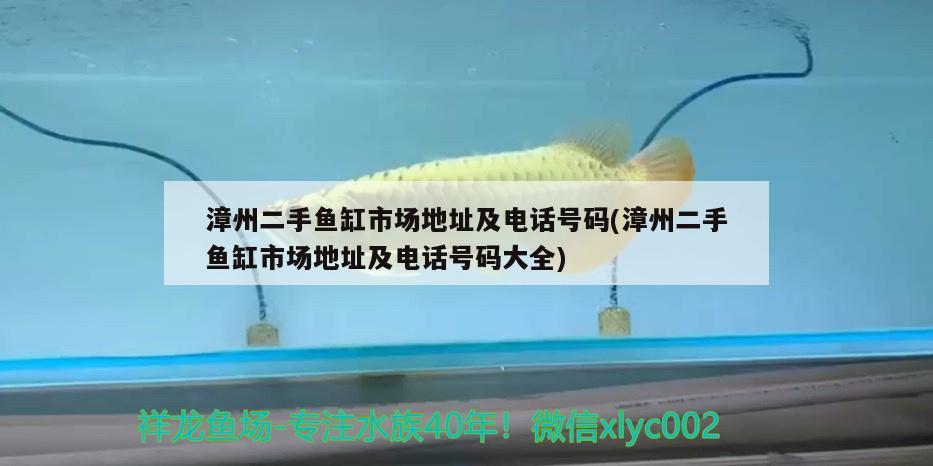 漳州二手魚缸市場地址及電話號碼(漳州二手魚缸市場地址及電話號碼大全)