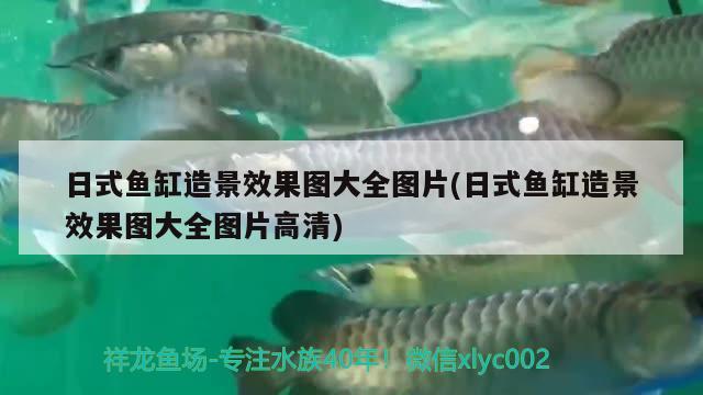 日式魚(yú)缸造景效果圖大全圖片(日式魚(yú)缸造景效果圖大全圖片高清)