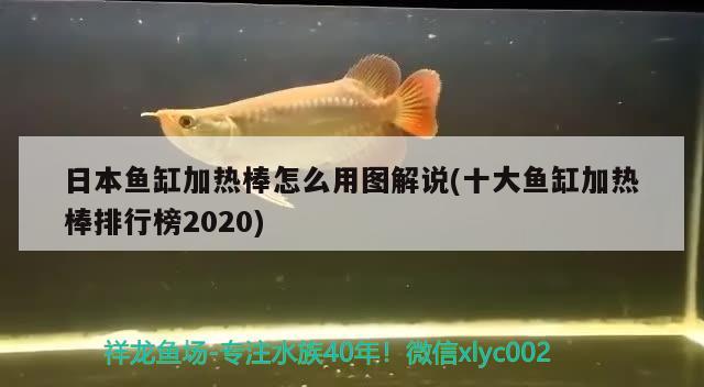 日本魚缸加熱棒怎么用圖解說(十大魚缸加熱棒排行榜2020) 龍魚芯片掃碼器