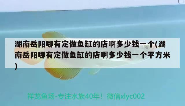 湖南岳陽哪有定做魚缸的店啊多少錢一個(gè)(湖南岳陽哪有定做魚缸的店啊多少錢一個(gè)平方米) 玫瑰銀版魚 第2張