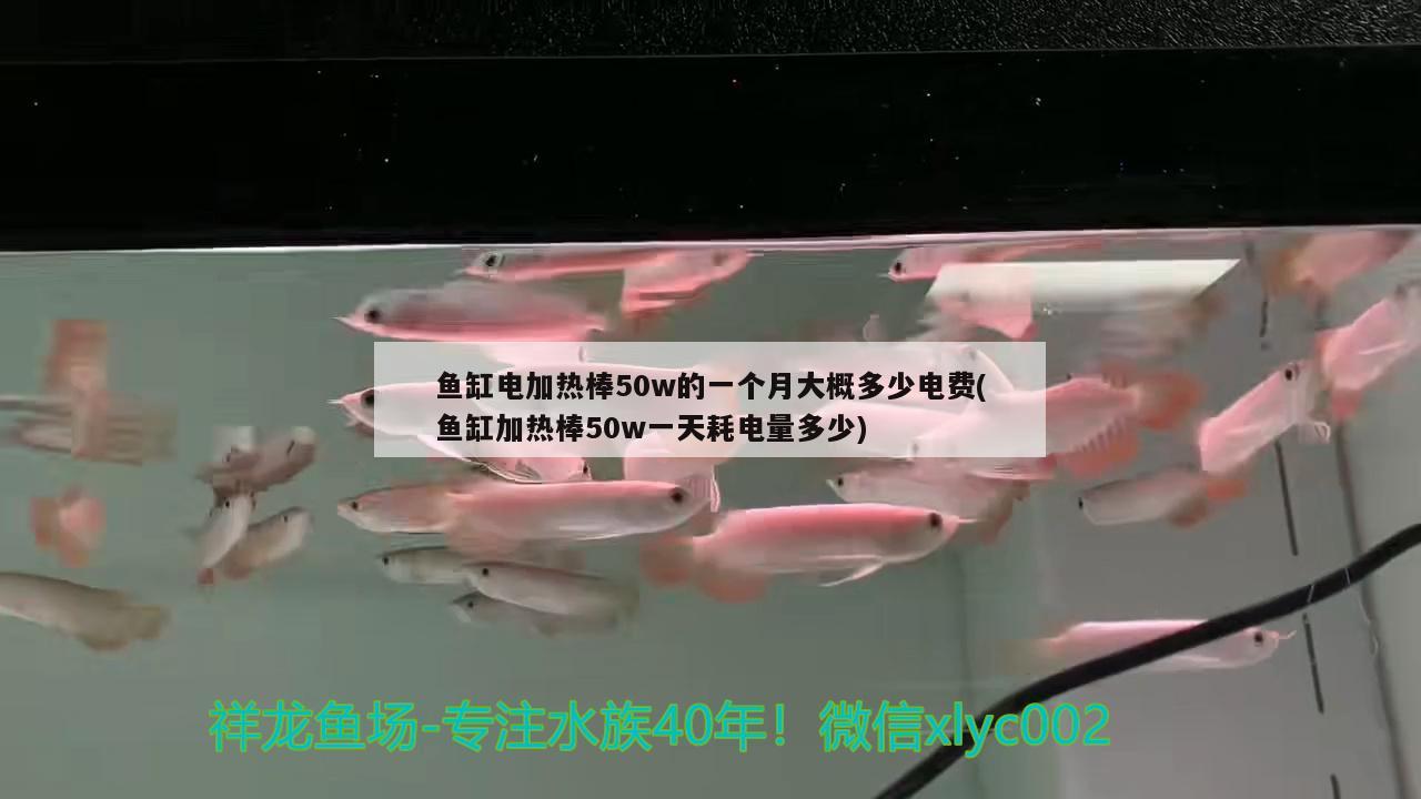 魚缸電加熱棒50w的一個月大概多少電費(魚缸加熱棒50w一天耗電量多少)