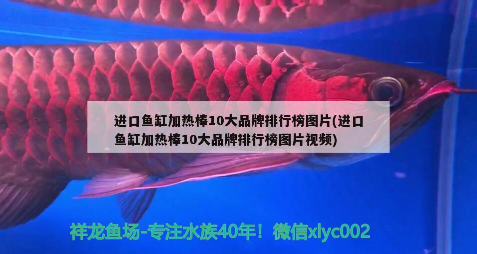 進(jìn)口魚(yú)缸加熱棒10大品牌排行榜圖片(進(jìn)口魚(yú)缸加熱棒10大品牌排行榜圖片視頻) 廣州水族器材濾材批發(fā)市場(chǎng)