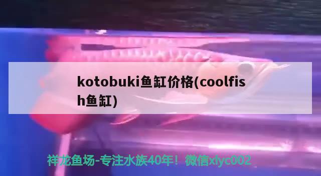 kotobuki魚缸價格(coolfish魚缸)