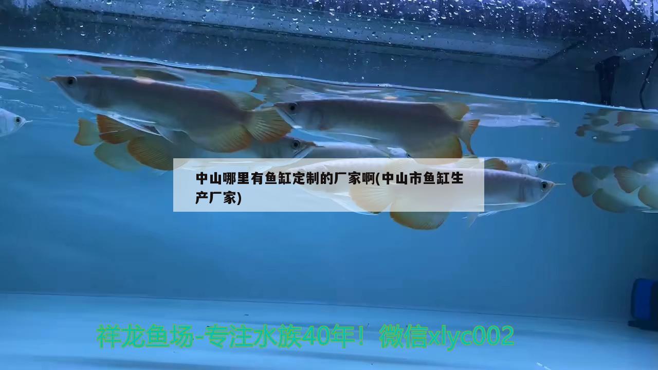 中山哪里有魚缸定制的廠家啊(中山市魚缸生產(chǎn)廠家) 皇冠黑白魟魚