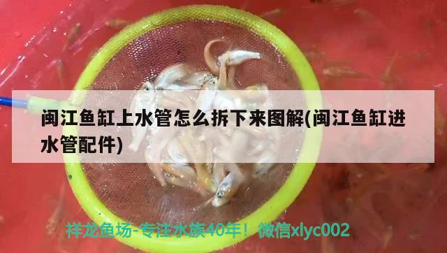 閩江魚缸上水管怎么拆下來圖解(閩江魚缸進水管配件)