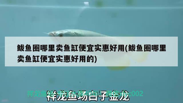 鲅魚圈哪里賣魚缸便宜實(shí)惠好用(鲅魚圈哪里賣魚缸便宜實(shí)惠好用的)