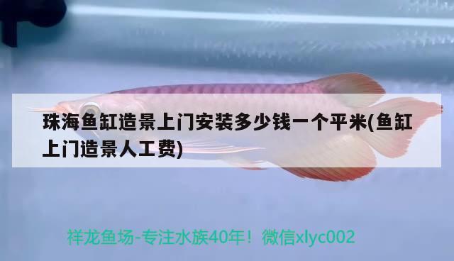 珠海魚缸造景上門安裝多少錢一個(gè)平米(魚缸上門造景人工費(fèi))