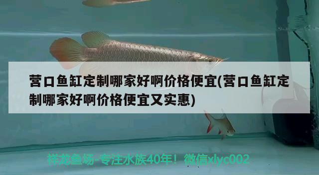 營口魚缸定制哪家好啊價格便宜(營口魚缸定制哪家好啊價格便宜又實惠)