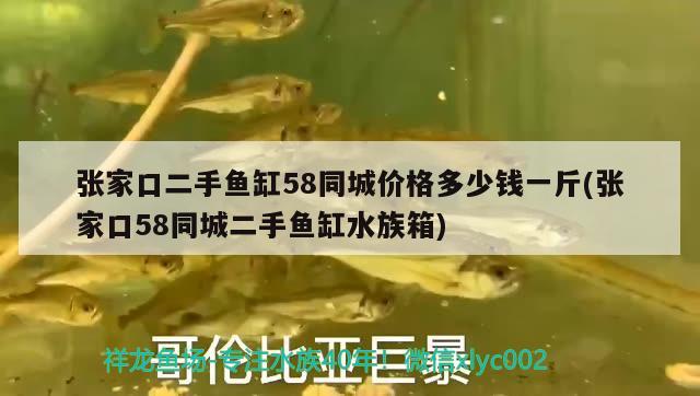 張家口二手魚缸58同城價格多少錢一斤(張家口58同城二手魚缸水族箱)