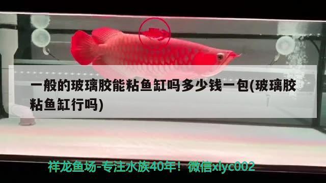 一般的玻璃膠能粘魚缸嗎多少錢一包(玻璃膠粘魚缸行嗎)