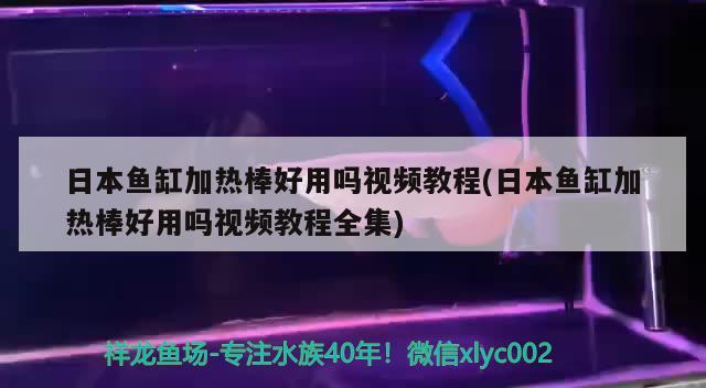 日本魚缸加熱棒好用嗎視頻教程(日本魚缸加熱棒好用嗎視頻教程全集)