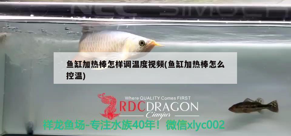 魚缸加熱棒怎樣調(diào)溫度視頻(魚缸加熱棒怎么控溫)