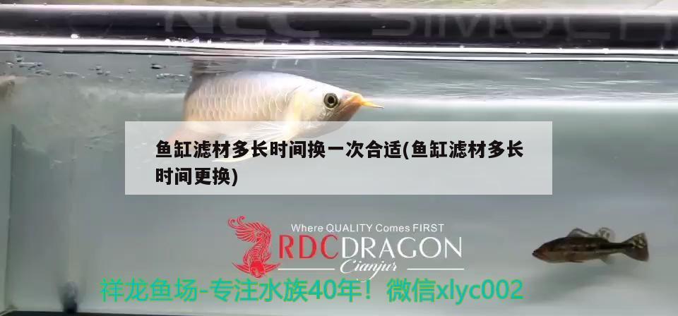 魚缸濾材多長時間換一次合適(魚缸濾材多長時間更換)