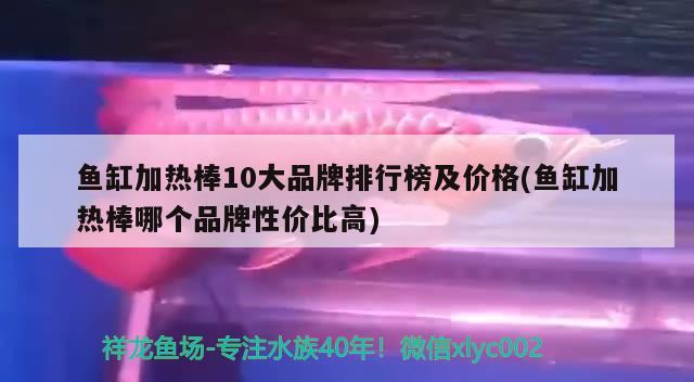 魚缸加熱棒10大品牌排行榜及價格(魚缸加熱棒哪個品牌性價比高)