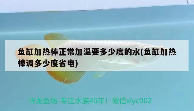 魚缸加熱棒正常加溫要多少度的水(魚缸加熱棒調多少度省電) 養(yǎng)魚知識