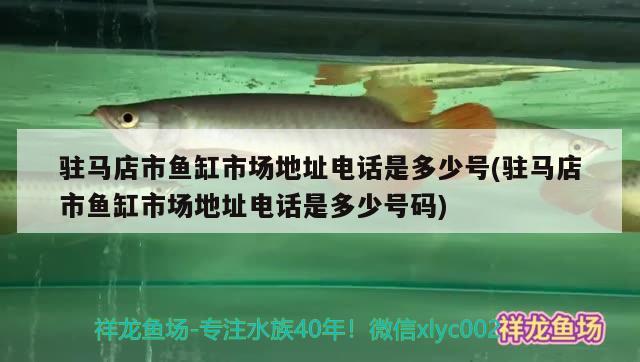 駐馬店市魚缸市場地址電話是多少號(駐馬店市魚缸市場地址電話是多少號碼) 觀賞魚進出口