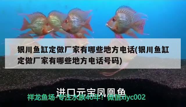 銀川魚缸定做廠家有哪些地方電話(銀川魚缸定做廠家有哪些地方電話號碼)