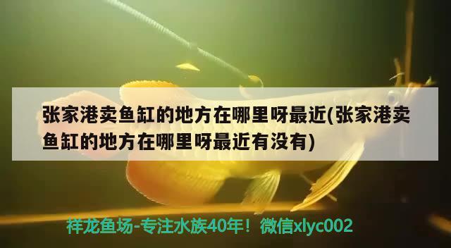 張家港賣魚缸的地方在哪里呀最近(張家港賣魚缸的地方在哪里呀最近有沒有)