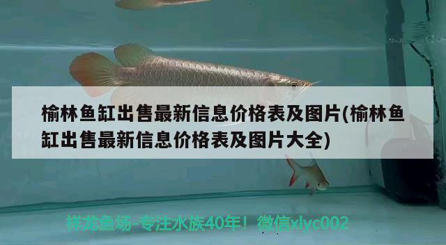 榆林魚缸出售最新信息價(jià)格表及圖片(榆林魚缸出售最新信息價(jià)格表及圖片大全) 錦鯉魚