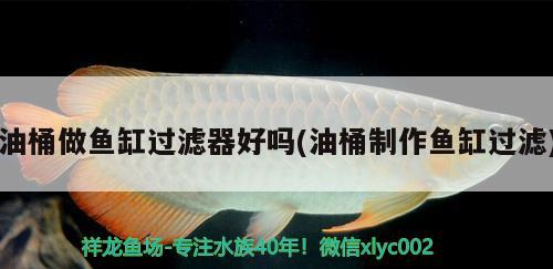 油桶做魚(yú)缸過(guò)濾器好嗎(油桶制作魚(yú)缸過(guò)濾) 養(yǎng)魚(yú)知識(shí)