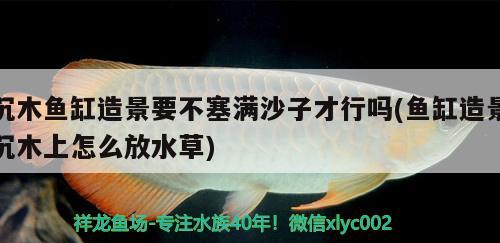 沉木魚缸造景要不塞滿沙子才行嗎(魚缸造景沉木上怎么放水草) 水草