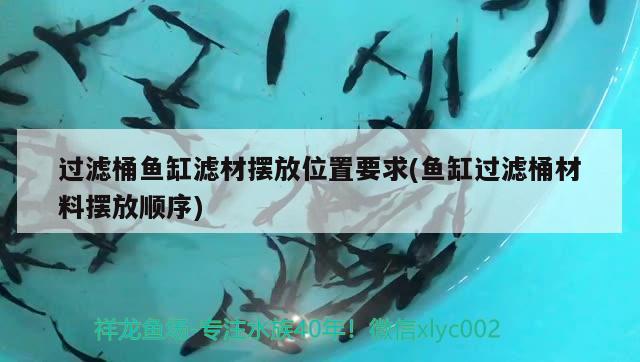 過(guò)濾桶魚缸濾材擺放位置要求(魚缸過(guò)濾桶材料擺放順序)